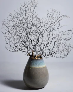 Online Madeira - Vase Mittlere Vasen